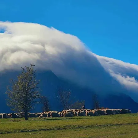 Widokowy Zakatek U Kamila * זקופאנה